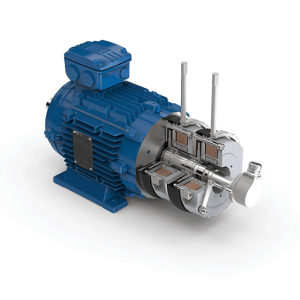 Motor Double Disc Brake